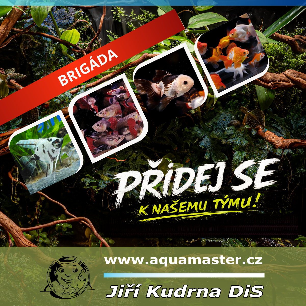 Brigáda